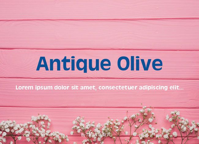 Antique Olive example